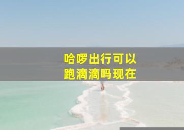 哈啰出行可以跑滴滴吗现在