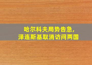 哈尔科夫局势告急,泽连斯基取消访问两国