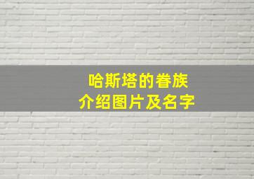 哈斯塔的眷族介绍图片及名字