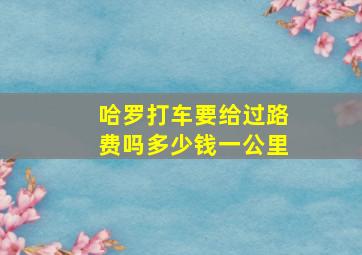 哈罗打车要给过路费吗多少钱一公里