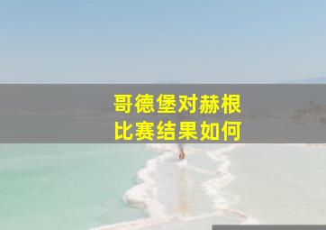 哥德堡对赫根比赛结果如何