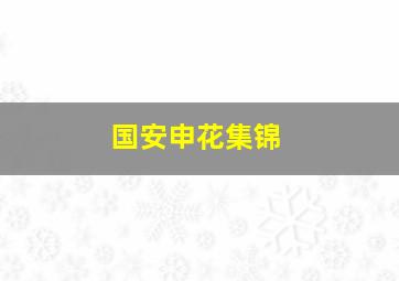 国安申花集锦