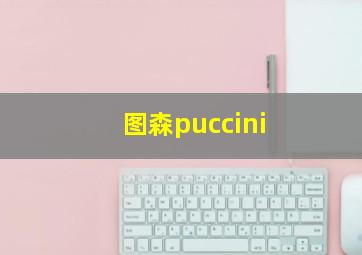 图森puccini