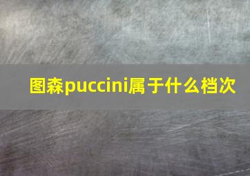 图森puccini属于什么档次