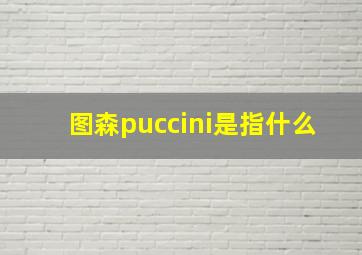 图森puccini是指什么