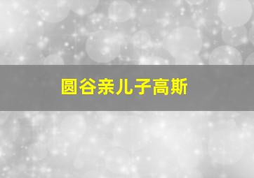 圆谷亲儿子高斯