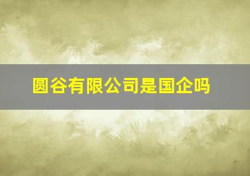 圆谷有限公司是国企吗