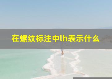 在螺纹标注中lh表示什么