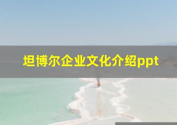 坦博尔企业文化介绍ppt