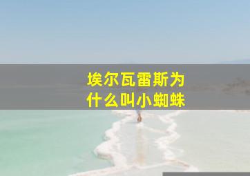 埃尔瓦雷斯为什么叫小蜘蛛