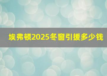 埃弗顿2025冬窗引援多少钱