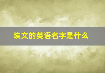 埃文的英语名字是什么