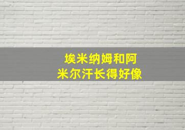 埃米纳姆和阿米尔汗长得好像