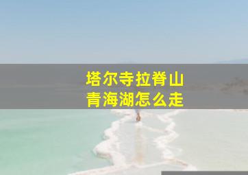 塔尔寺拉脊山青海湖怎么走