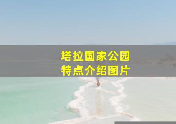 塔拉国家公园特点介绍图片