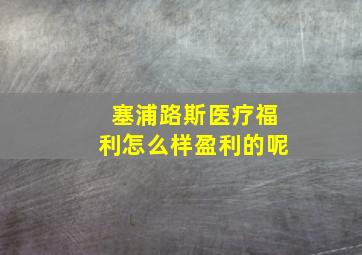 塞浦路斯医疗福利怎么样盈利的呢