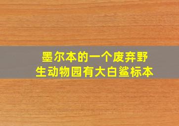 墨尔本的一个废弃野生动物园有大白鲨标本