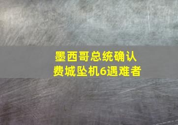 墨西哥总统确认费城坠机6遇难者