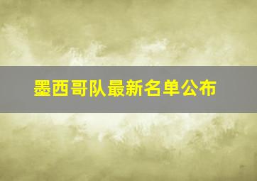 墨西哥队最新名单公布