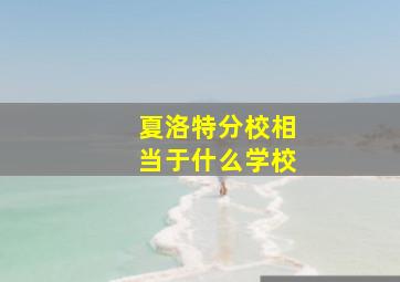 夏洛特分校相当于什么学校