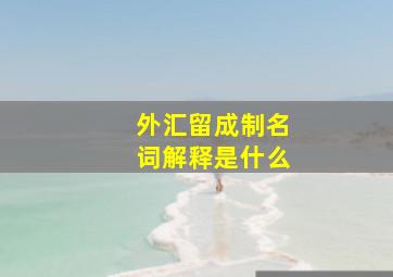 外汇留成制名词解释是什么