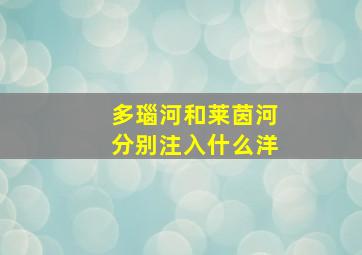 多瑙河和莱茵河分别注入什么洋