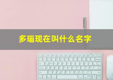 多瑙现在叫什么名字