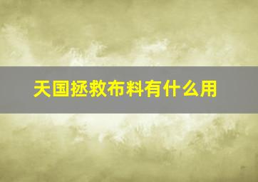 天国拯救布料有什么用