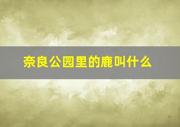 奈良公园里的鹿叫什么