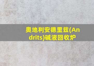 奥地利安德里兹(Andrits)碱液回收炉