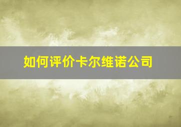 如何评价卡尔维诺公司