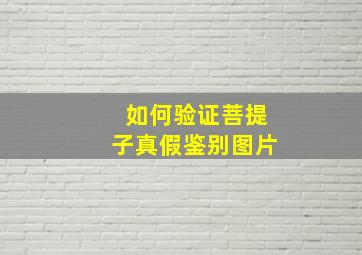 如何验证菩提子真假鉴别图片