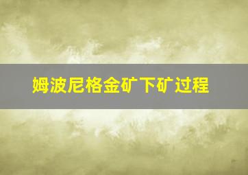 姆波尼格金矿下矿过程