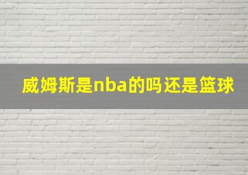 威姆斯是nba的吗还是篮球