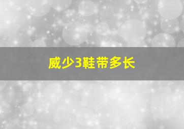 威少3鞋带多长