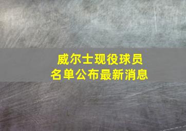 威尔士现役球员名单公布最新消息