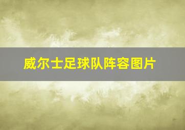 威尔士足球队阵容图片