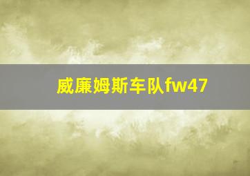 威廉姆斯车队fw47