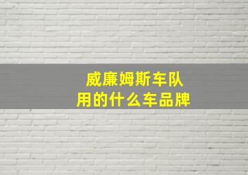 威廉姆斯车队用的什么车品牌