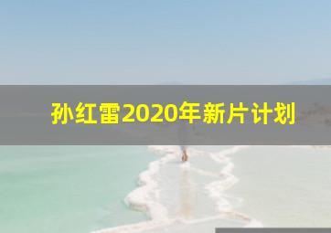 孙红雷2020年新片计划