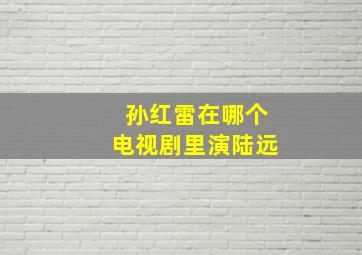 孙红雷在哪个电视剧里演陆远