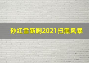 孙红雷新剧2021扫黑风暴