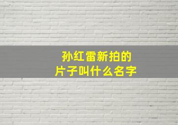 孙红雷新拍的片子叫什么名字