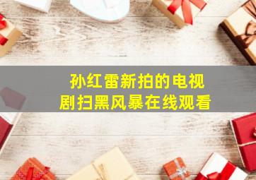 孙红雷新拍的电视剧扫黑风暴在线观看