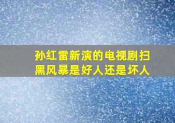 孙红雷新演的电视剧扫黑风暴是好人还是坏人