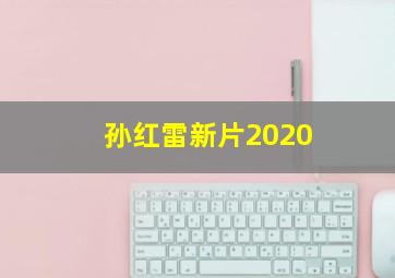 孙红雷新片2020