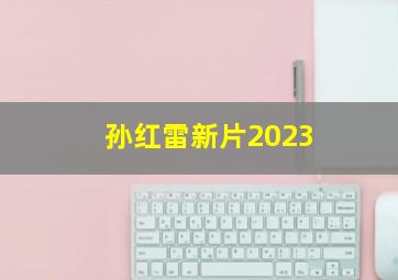 孙红雷新片2023