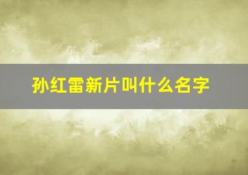 孙红雷新片叫什么名字