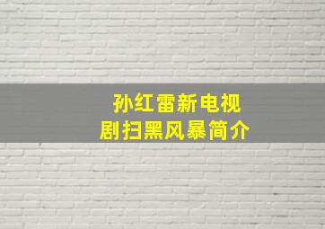 孙红雷新电视剧扫黑风暴简介