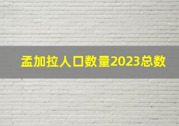 孟加拉人口数量2023总数